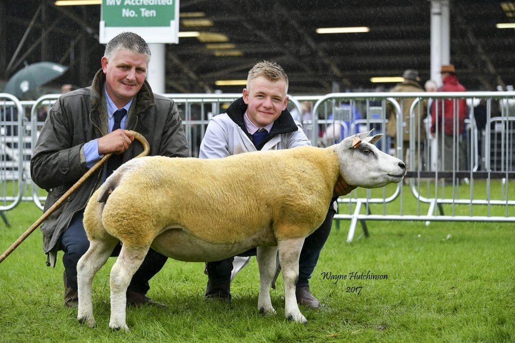 Overall Beltex Champion from J Buckle.